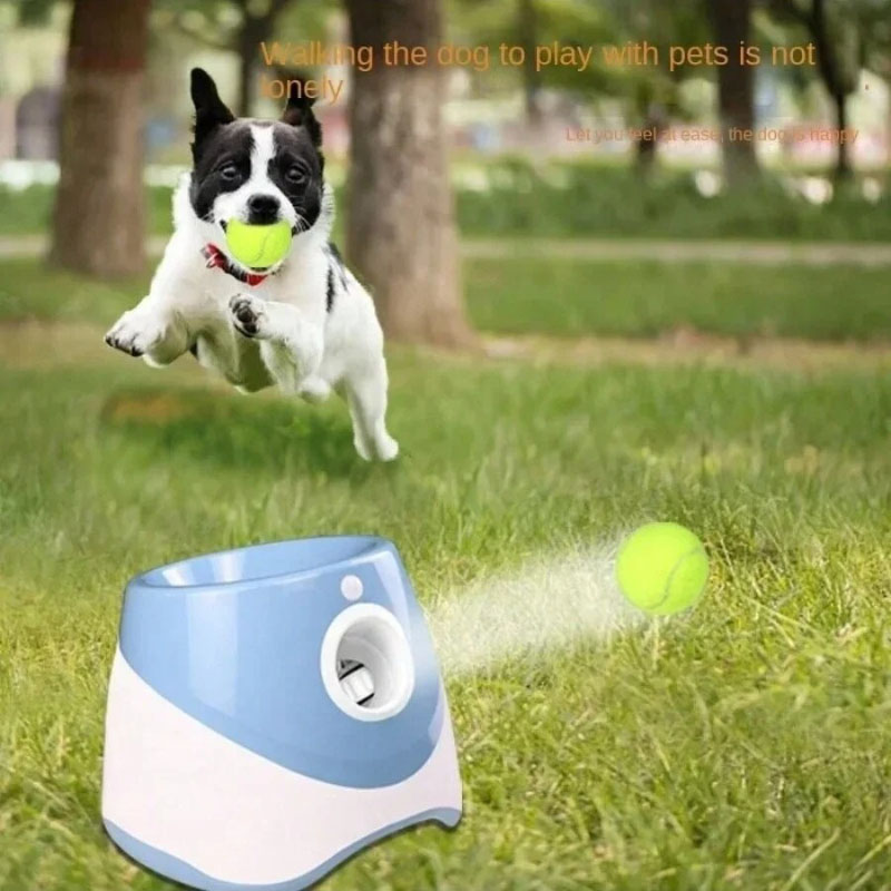Lançador de cachorro automátic - Catapult Launcher Toy avaliação e preço